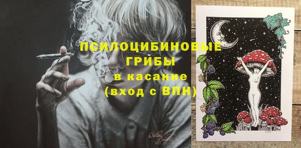 СК Каменск-Шахтинский