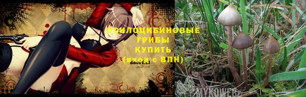 круглые Каменка