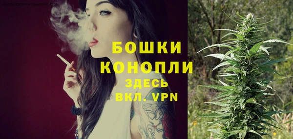 СК Каменск-Шахтинский